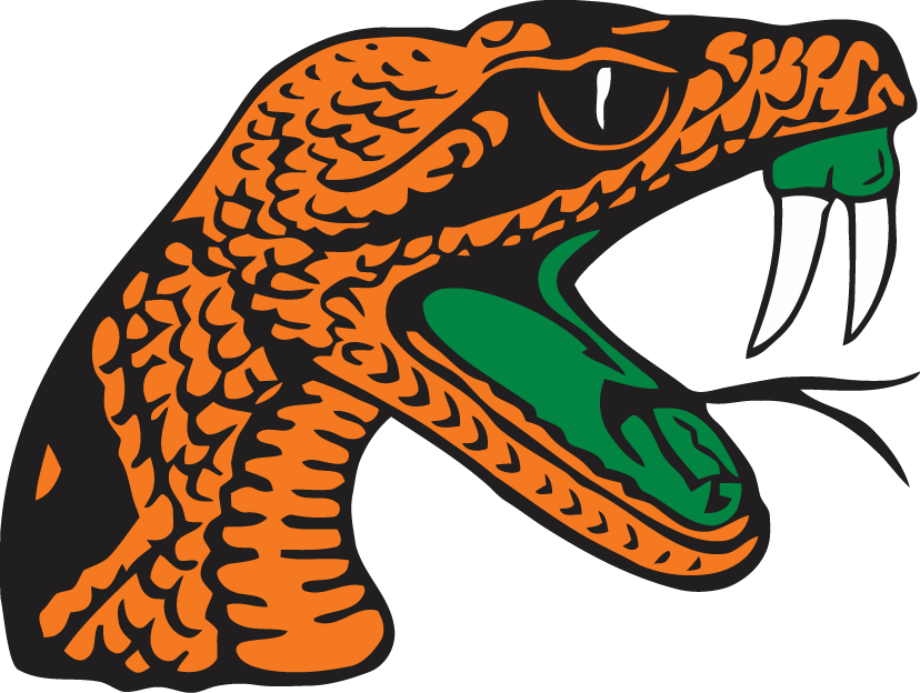 Florida A&M Rattlers 2001-Pres Secondary Logo diy iron on heat transfer